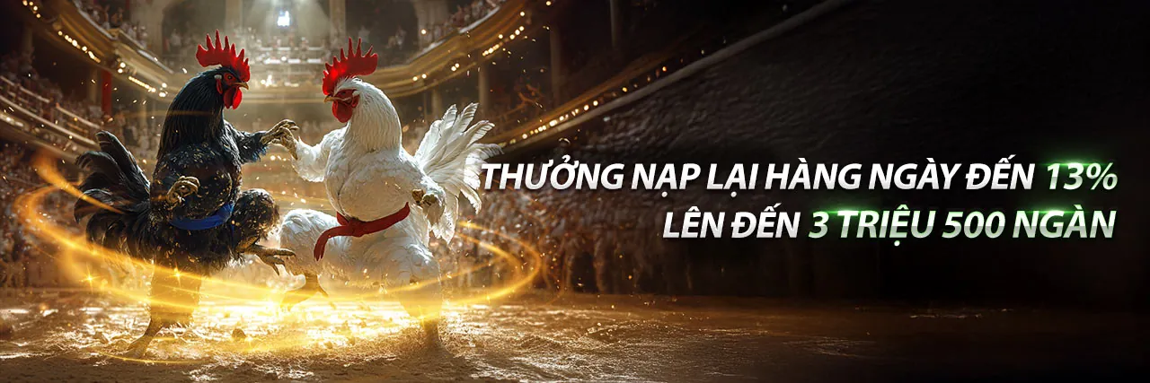 Giao diện ứng dụng 18bet link trên điện thoại